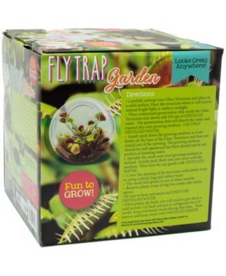 Unique Gardener Glass Terrarium Fly Trap Garden Plant Kit