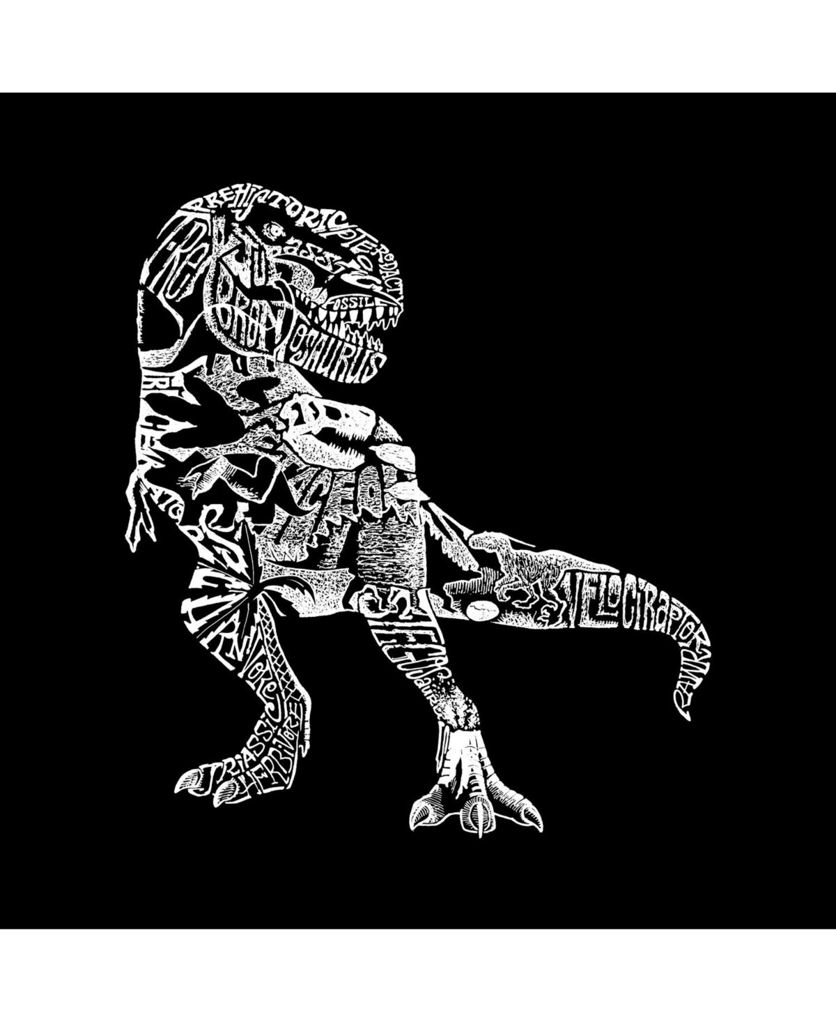Big Boy's Word Art Long Sleeve T-shirt - Dino Pics