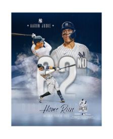 Lids Anthony Rizzo New York Yankees Fanatics Authentic Framed 15 x 17  Impact Player Collage with a Piece of Game-Used Baseball - Limited Edition  of 500