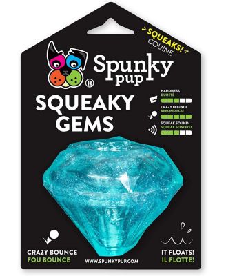 Spunky Pup