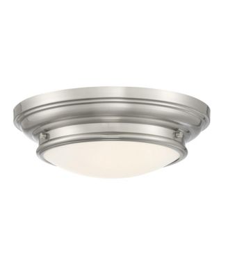 2-Light Ceiling Light