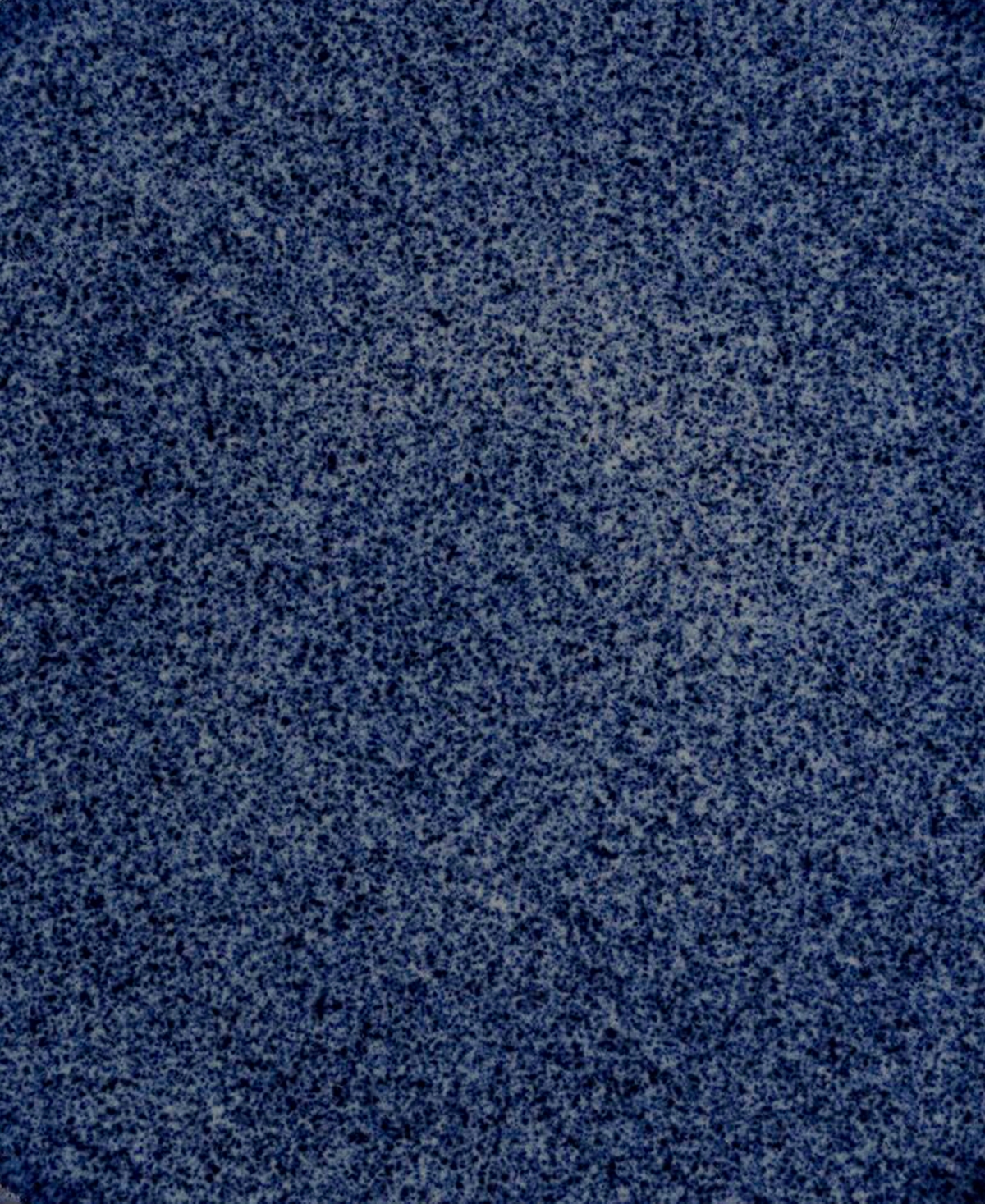 Denby Studio Blue Cobalt Brew Espresso Cup