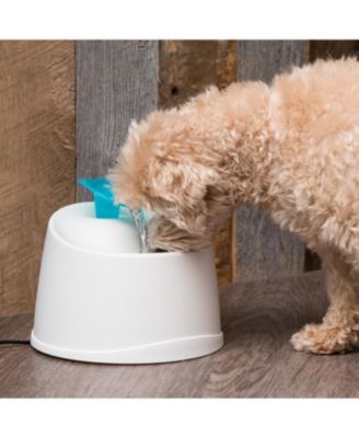 Pet Water Fountain for Cats and Dogs, White/Blue