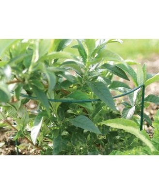 Luster Leaf Vinyl Plant Prop Ups, 40 in Tall Support