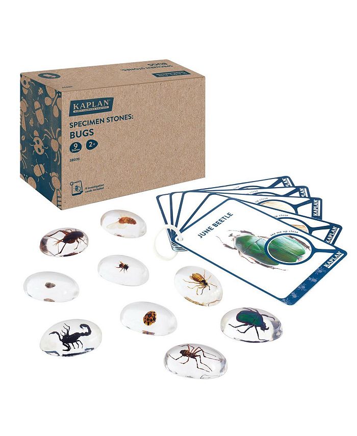 Kaplan Early Learning Specimen Stones: Bugs - Macy's