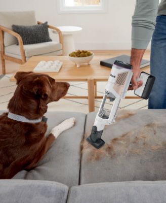 Cordless Detect Clean &amp; Empty Auto-Empty System with QuadClean Multi-Surface Brushroll- IW3511