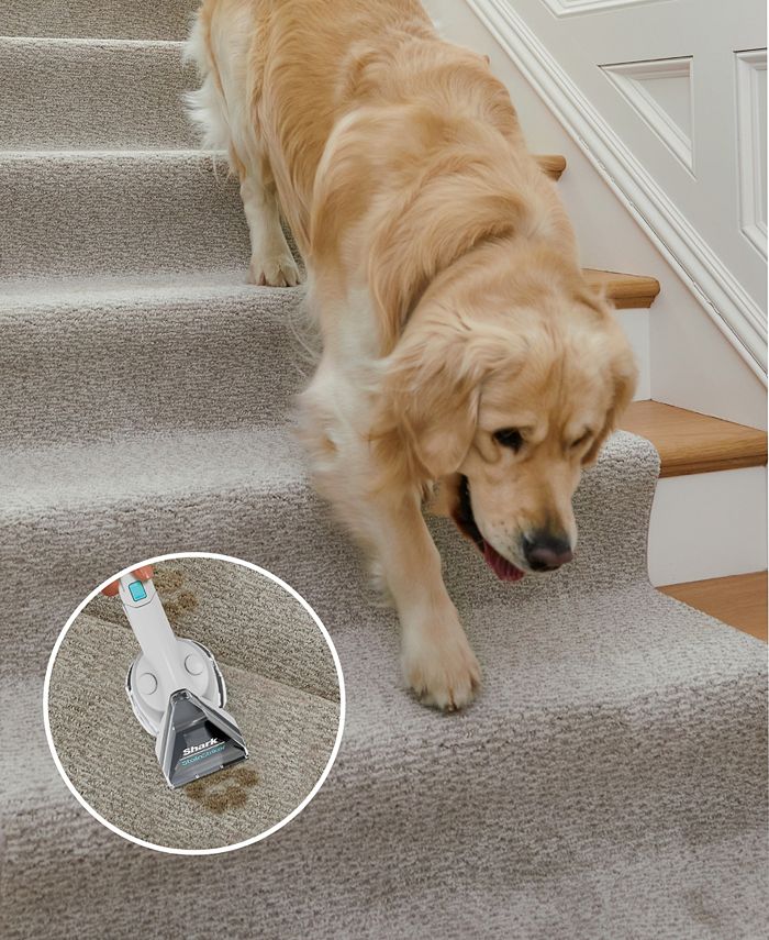 Shark CarpetXpert with StainStriker Pet Deep Carpet Cleaner Machine
