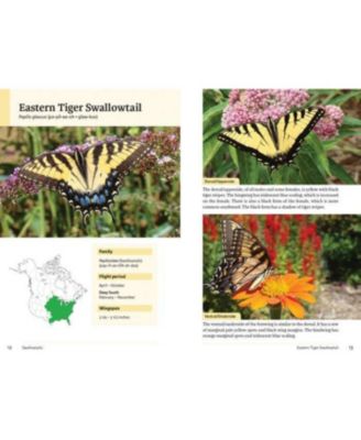 Raising Butterflies and Moths in the Garden by Brenda Dziedzic