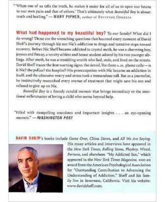 Beautiful Boy- A Father's Journey Through His Son's Addiction by David Sheff