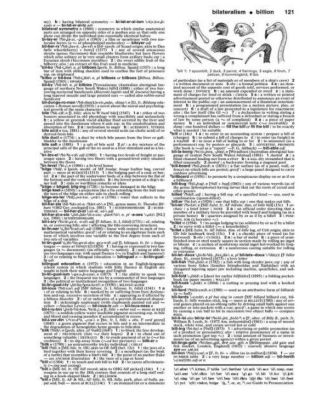 Merriam-Webster's Collegiate Dictionary by Merriam-Webster