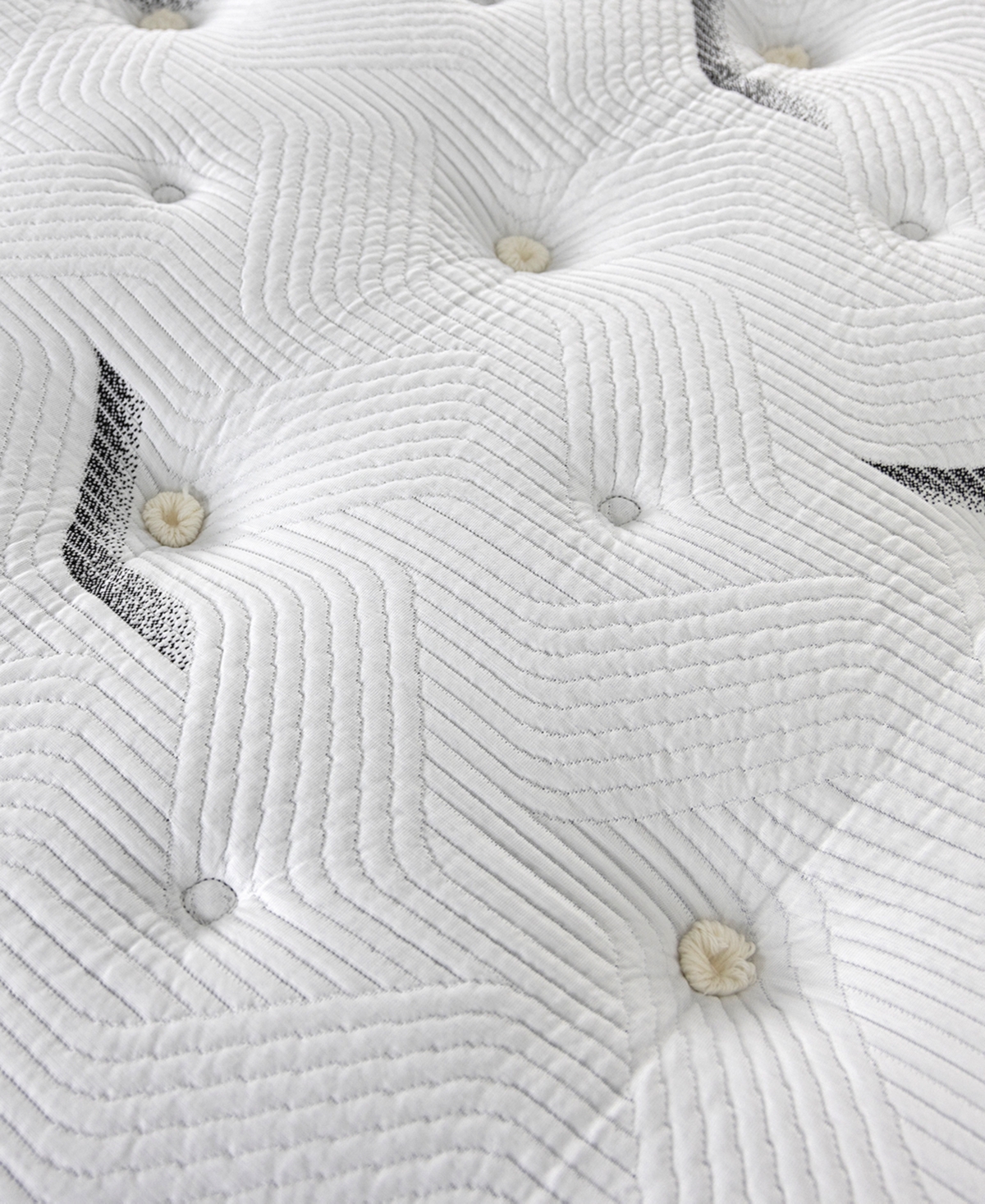 Paramount Hd Maximus 13" Cushion Firm Mattress Set In No Color