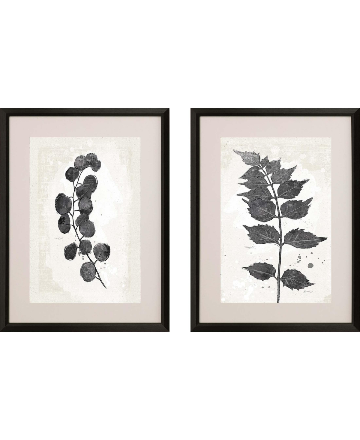 Paragon Picture Gallery Garden Vines I Framed Art, Set Of 2 In Black