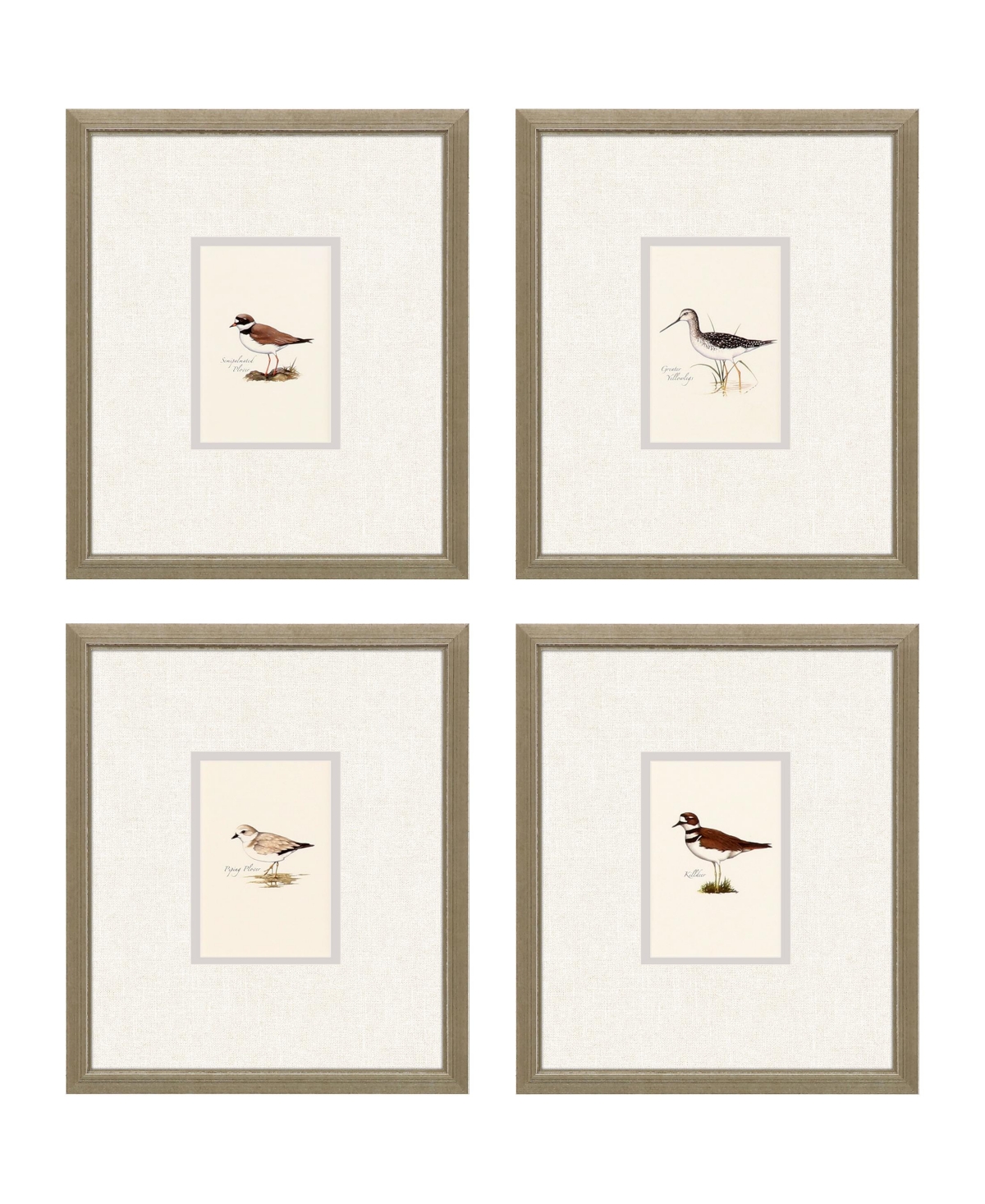 Paragon Picture Gallery Shorebirds Framed Art, Set Of 4 In Brown