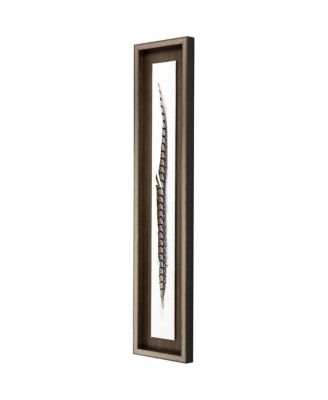 Lady Amhurst Feather Framed Art