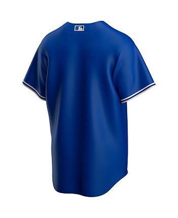 MLB Toronto Blue Jays Youth Kids' Button Front Baseball Jersey, Blue,  Assorted Sizes