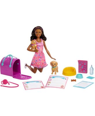 Doll and Accessories Pup Adoption Playset with Doll, 2 Puppies and Color-Change