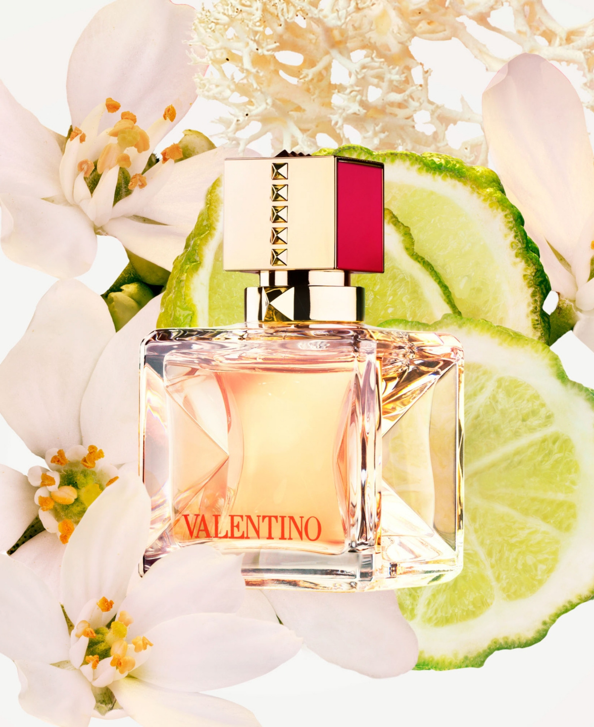 Shop Valentino 2-pc. Voce Viva Eau De Parfum Gift Set In No Color