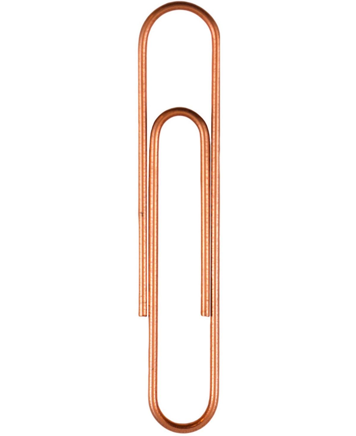 Shop Jam Paper Colorful Jumbo Paper Clips In Rose Gold