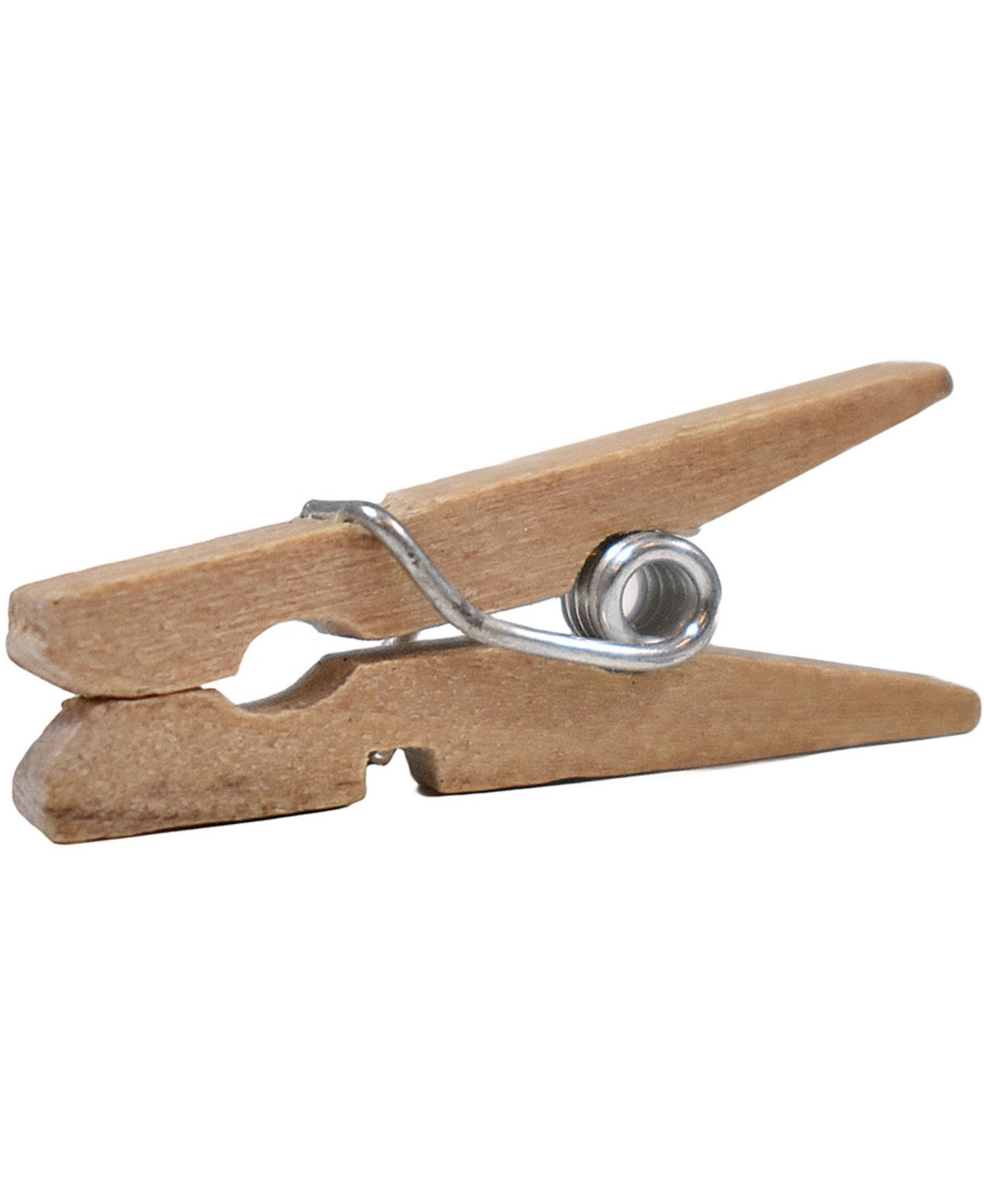 Shop Jam Paper Wood Clip Clothespins In Natural Brown