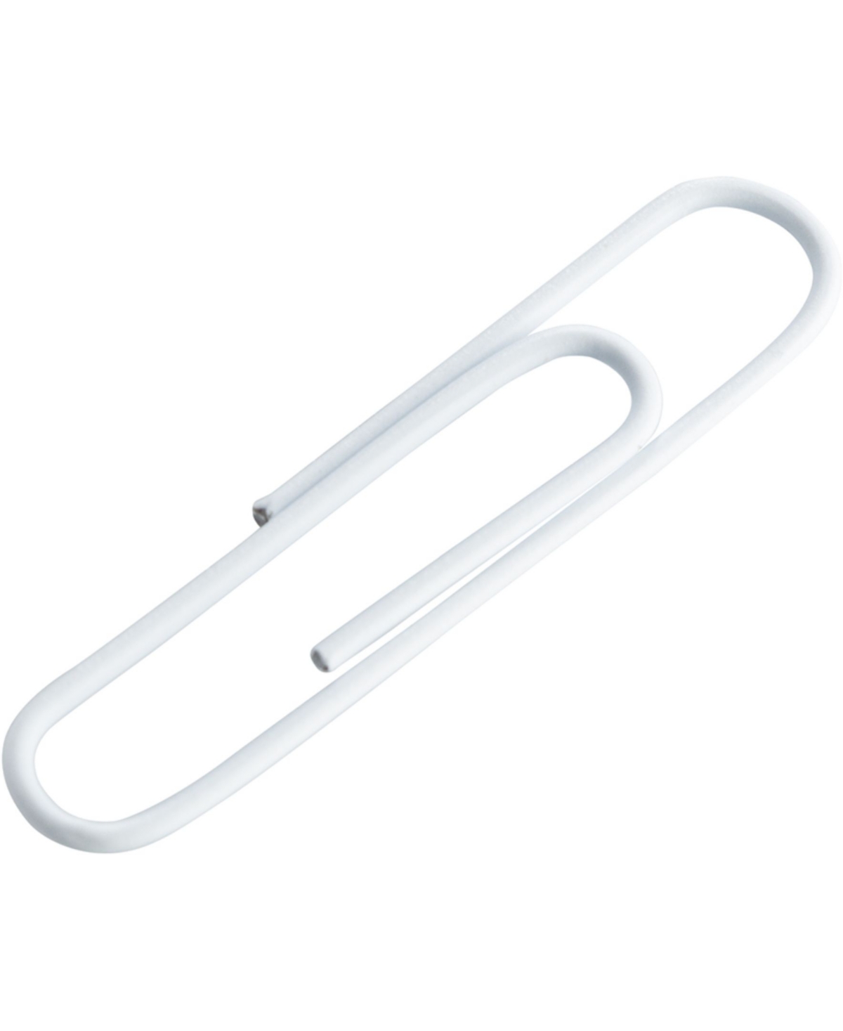 Shop Jam Paper Colorful Jumbo Paper Clips In White