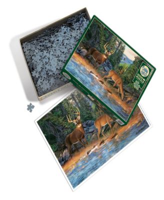 The River's Edge Puzzle