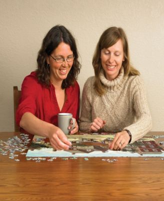 the Curve in the Square Puzzle