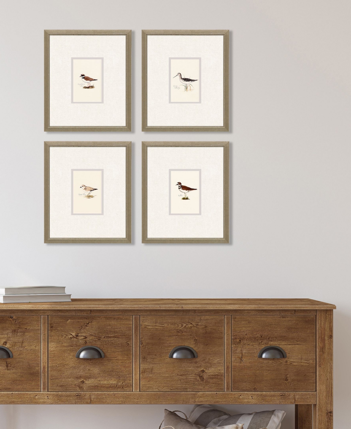 Shop Paragon Picture Gallery Shorebirds Framed Art, Set Of 4 In Brown