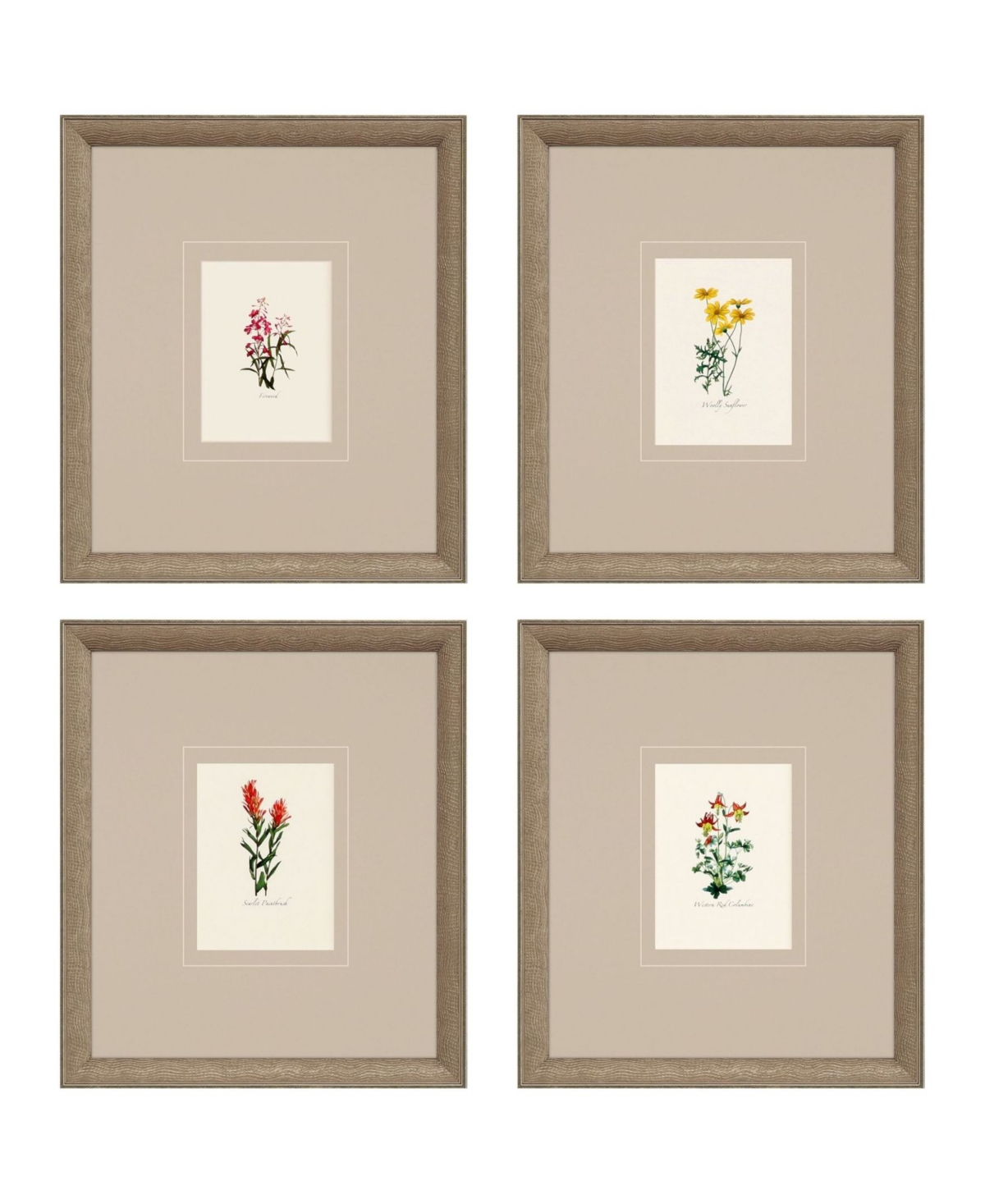 Paragon Picture Gallery Western Wildflower Framed Art, Set Of 4 In Red