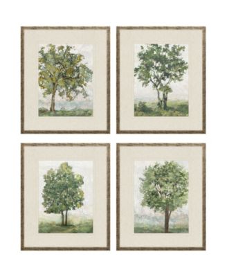 Paragon Picture Gallery