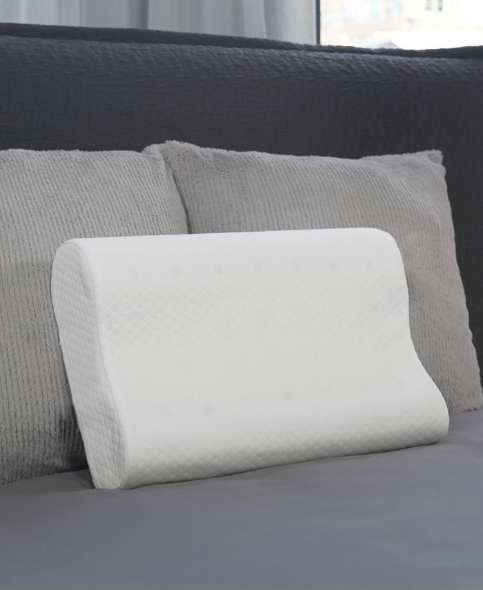 Therapedic Premier Clean Comfort Memory Foam Contour Pillow, Standard/Queen - White