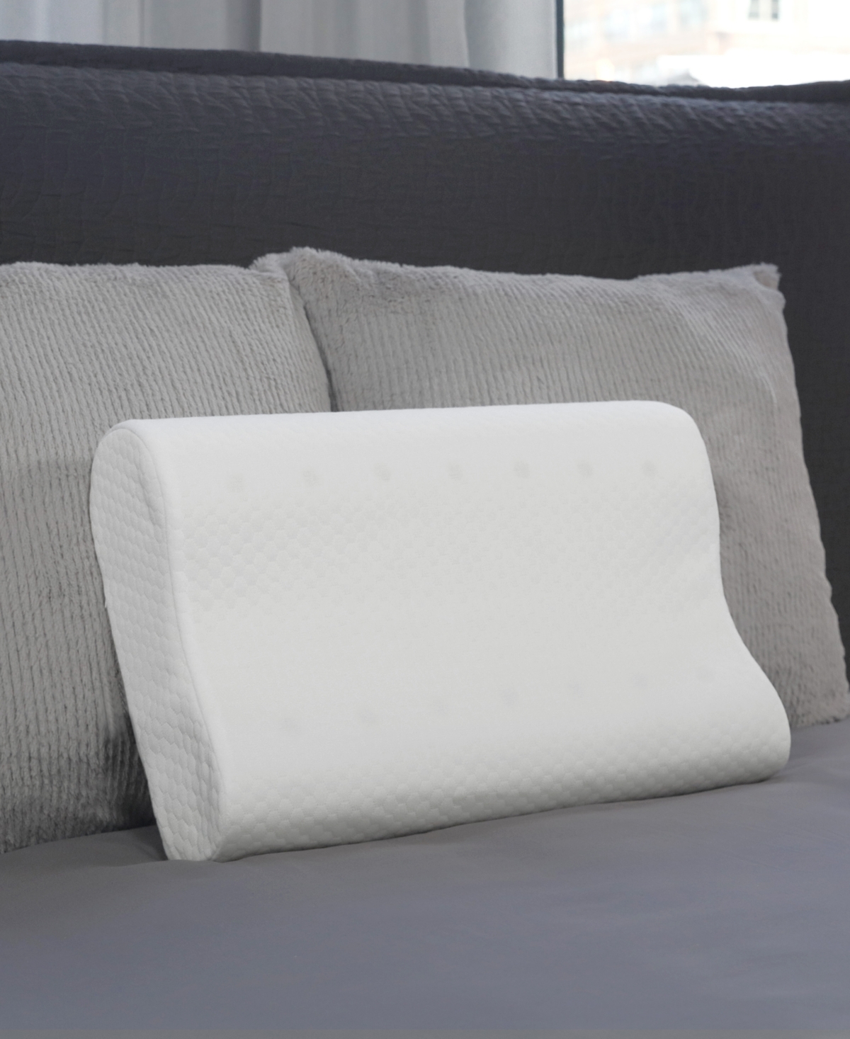 Therapedic Premier Clean Comfort Memory Foam Contour Pillow, Standard/queen In White