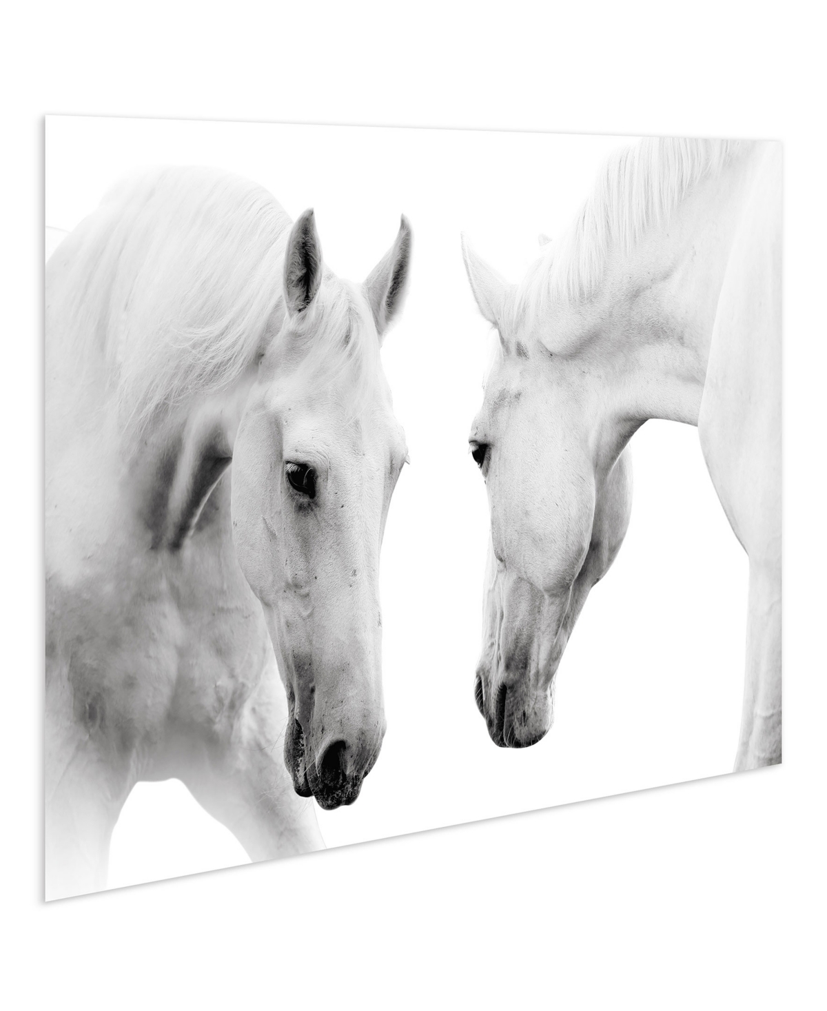 Shop Empire Art Direct "reflection" Frameless Free Floating Tempered Glass Panel Graphic Wall Art, 32" X 48" X 0.2" In White