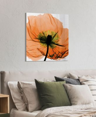 "Poppy Orange" Frameless Free Floating Tempered Glass Panel Graphic Wall Art, 24" x 24" x 0.2"