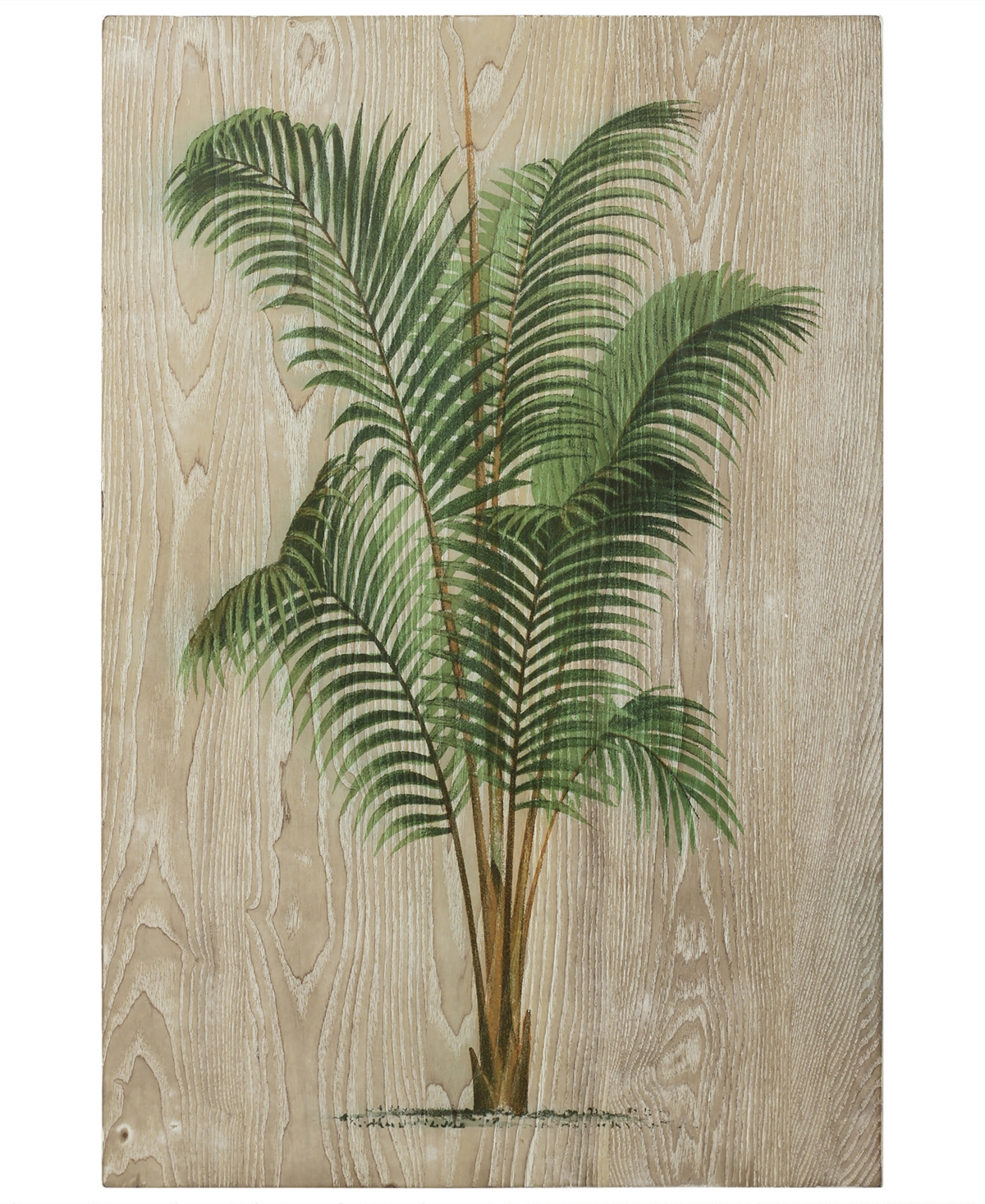 Empire Art Direct "coastal Palm Ii" Fine Giclee Printed Directly On Hand Finished Ash Wood Wall Art, 36" X 24" X 1.5" In Green