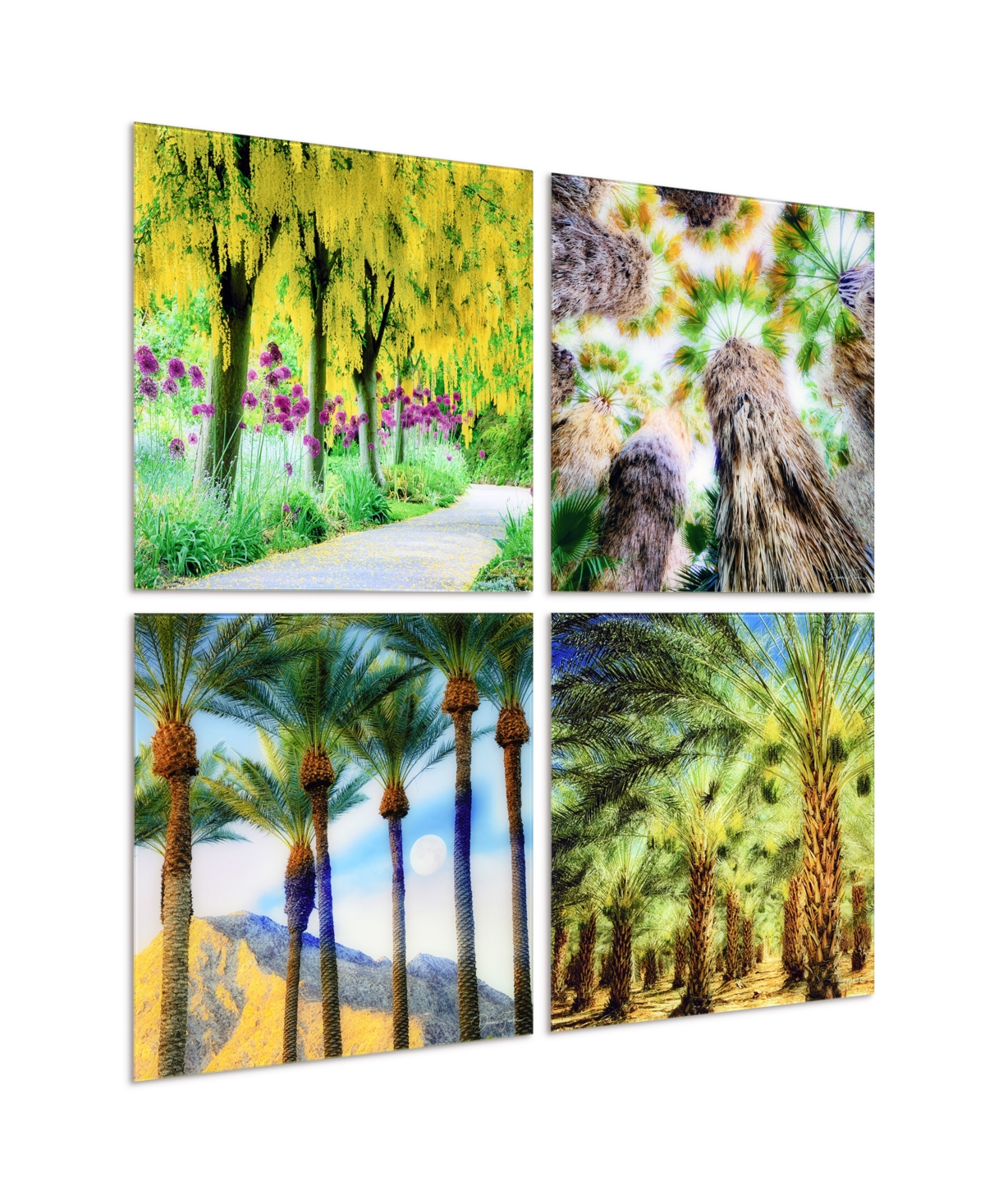 Shop Empire Art Direct "palm Tree Groves" Frameless Free Floating Reverse Printed Tempered Glass Nature Scapes Wall Art, 20 In Multi-color
