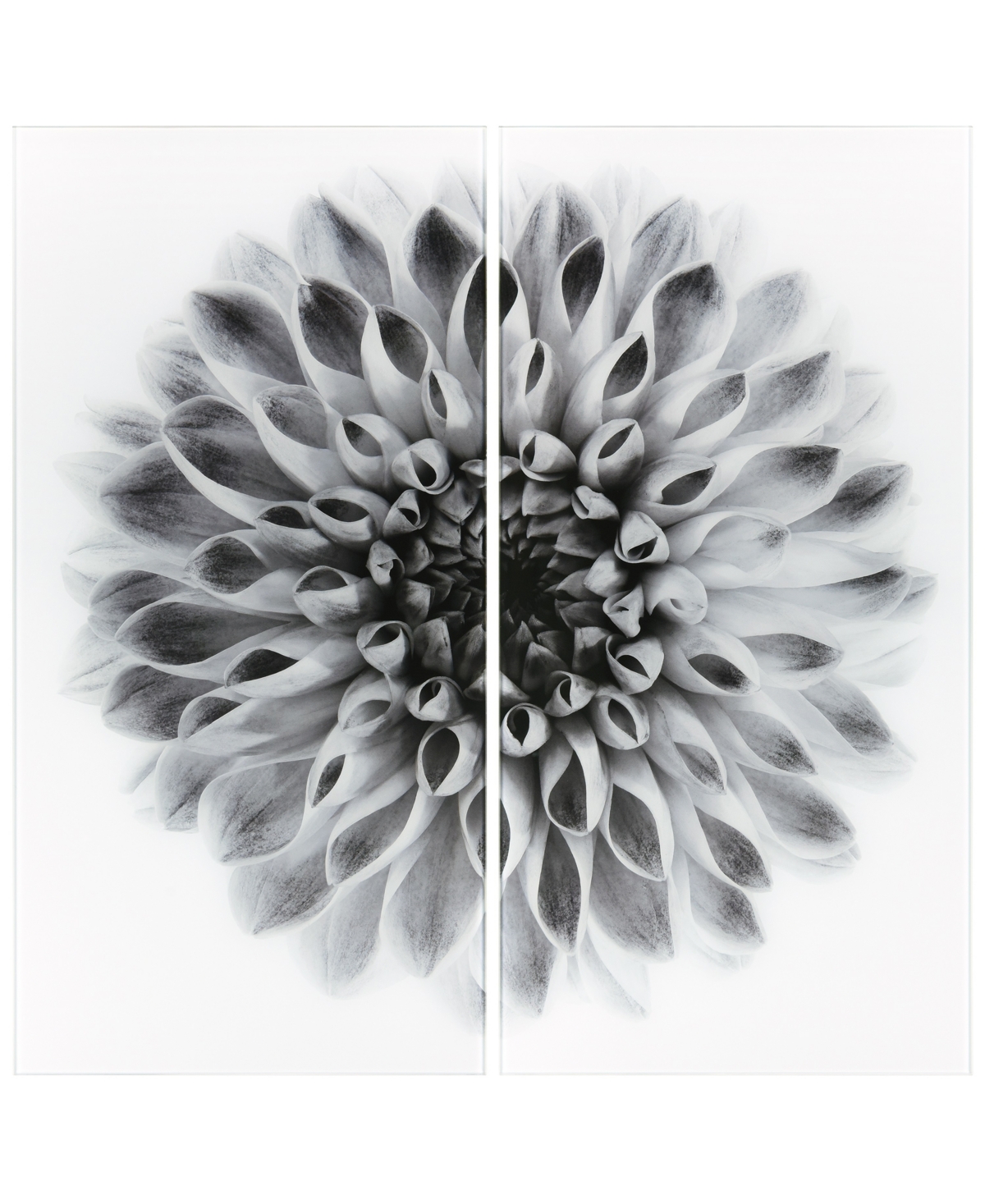 Empire Art Direct "dahlia Ab" Frameless Free Floating Tempered Glass Panel Graphic Wall Art Set Of 2, 72" X 36" X 0.2" In Gray