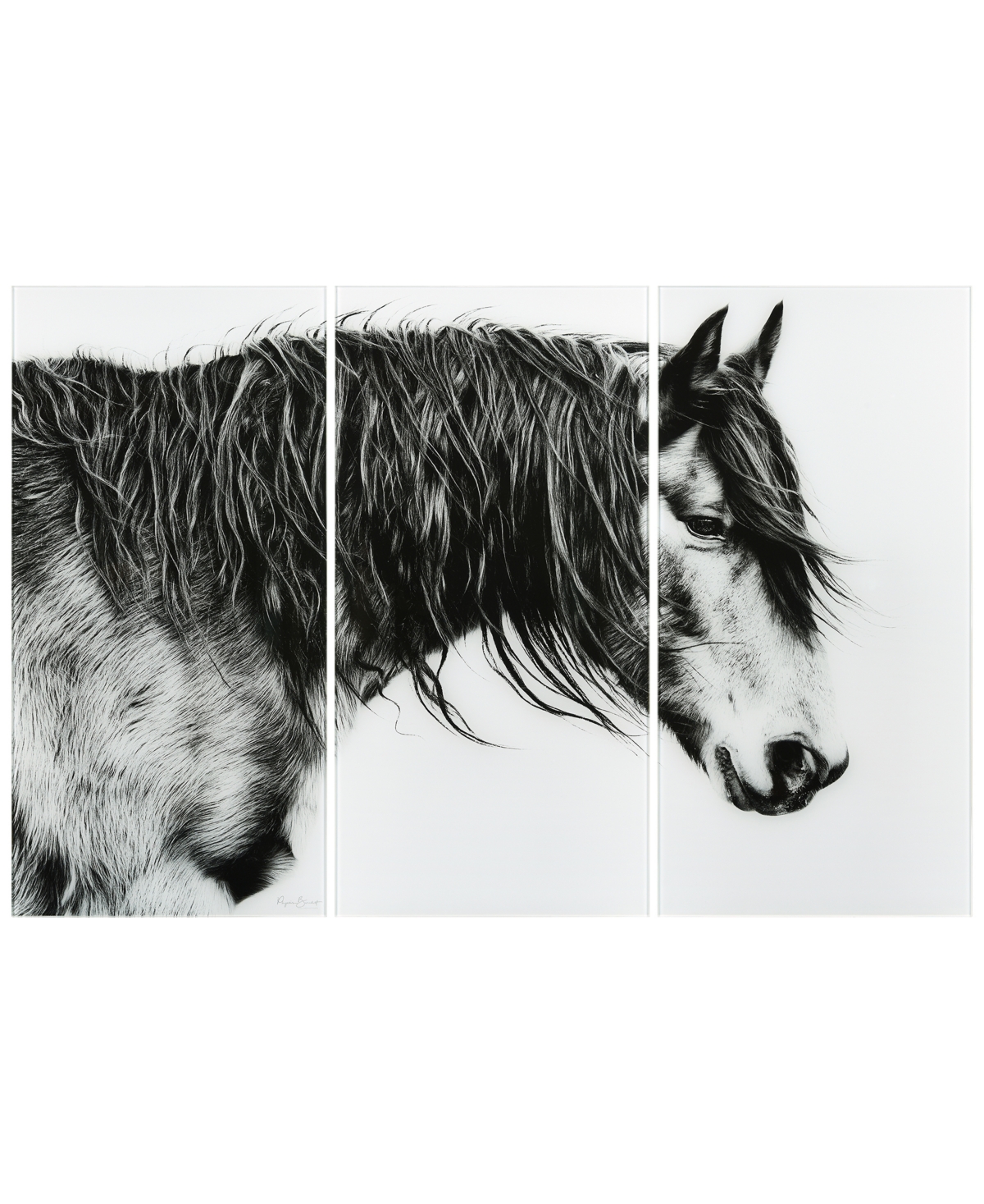 Empire Art Direct "black And White Horse Portrait Iii Abc" Frameless Free Floating Tempered Glass Panel Graphic Wall A In Gray