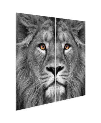 King Of The Jungle Ab Frameless Free Floating Tempered Glass Panel Graphic Wall Art, 72" x 36" x 0.2" Each