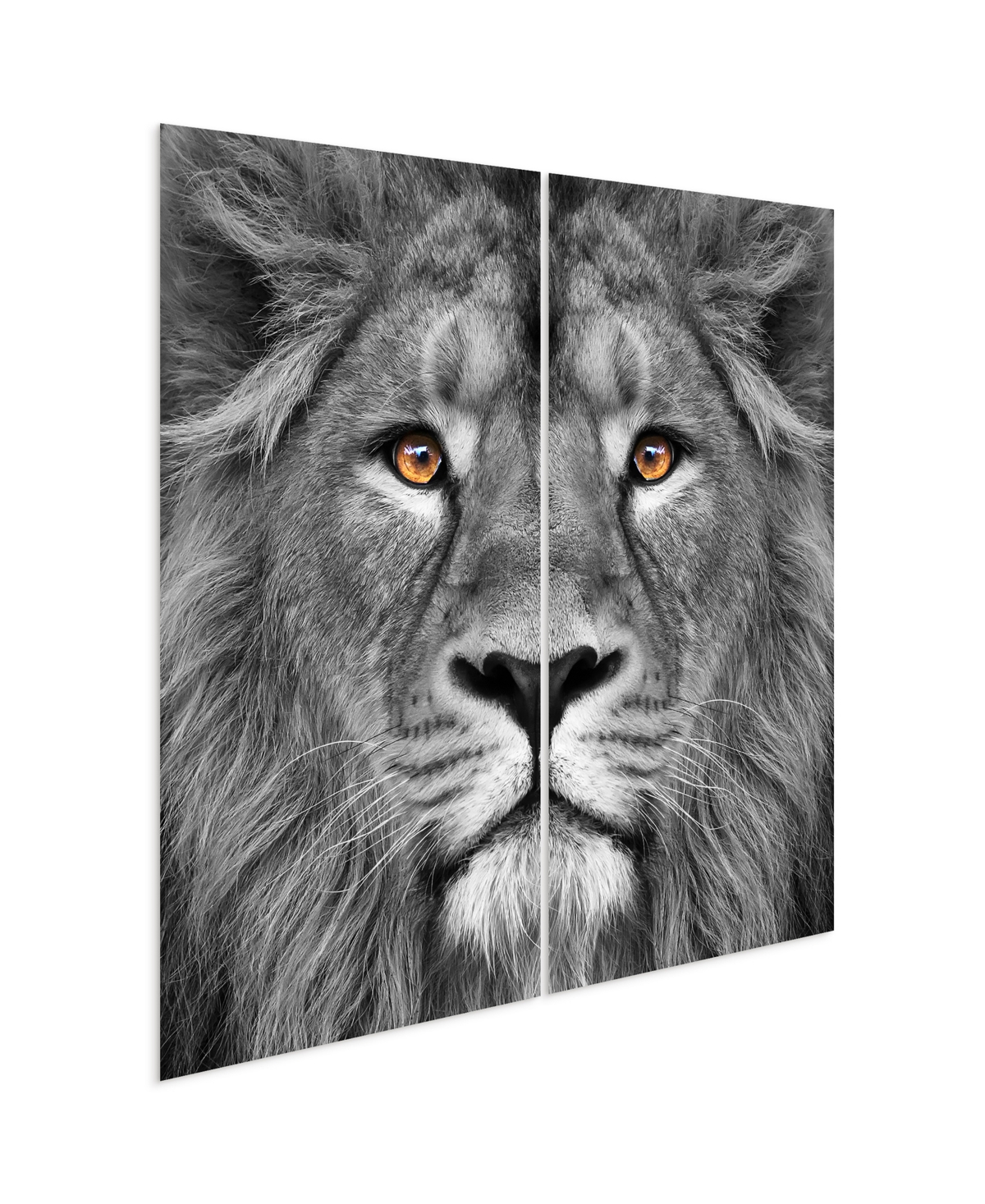 Empire Art Direct King Of The Jungle Ab Frameless Free Floating Tempered Glass Panel Graphic Wall Art, 72" X 36" X 0.2 In Gray