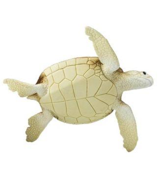 Green Sea Turtle Wild Safari Figure
