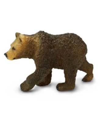 Grizzly Bear Cub North American Wildlife