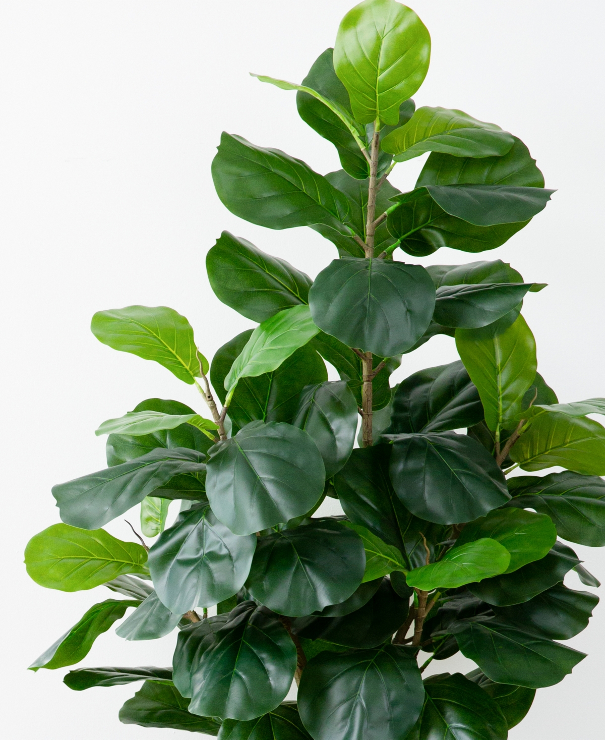 Shop Nearly Natural 72" Artificial Fiddle Leaf Tree In Green