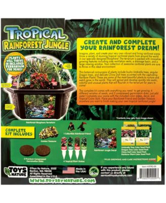 Biosphere Terrarium - Tropical Rainforest Jungle