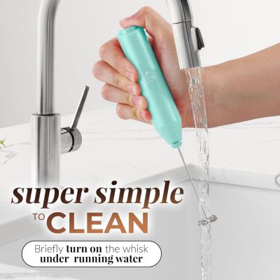 Powerful Handheld Mini FrothMate Milk Frother Stainless Steel - No Stand