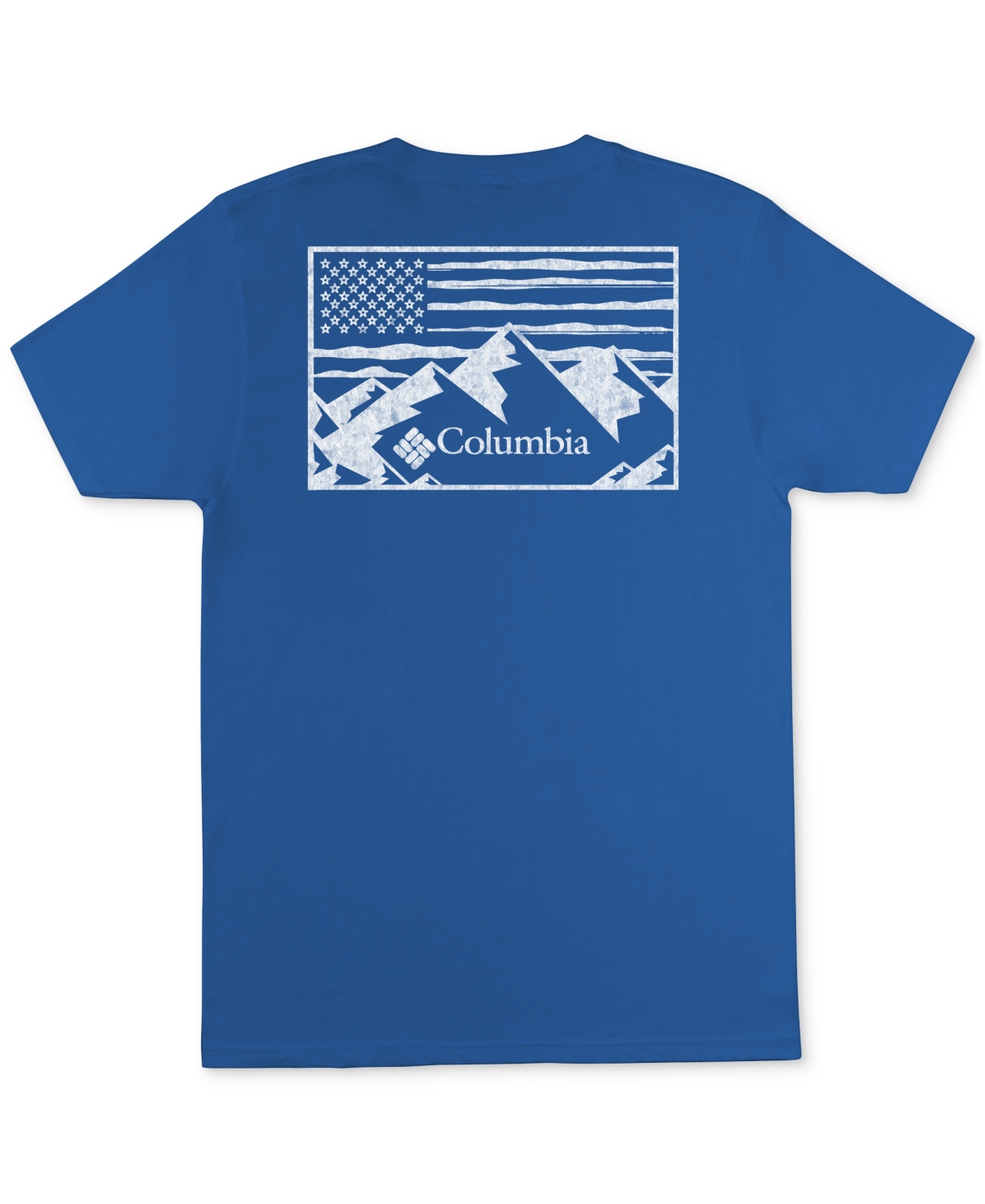 Columbia Men's Mountain Majesty Logo Graphic T-shirt In Vivid Blue