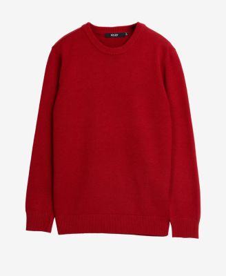 Boy's Basic Crew Neck Sweater