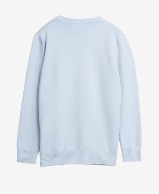 Boy's Basic Crew Neck Sweater