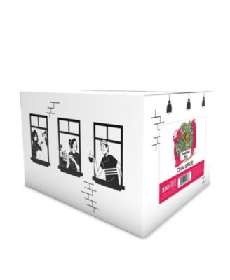 Bonsai Tea Co Bonsai Tea Co. Chai Spice Tea Pod, Compatible with 2.0 Keurig  Brewers, 100 Count - Macy's