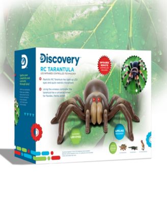Remote Control Moving Tarantula Spider Toy