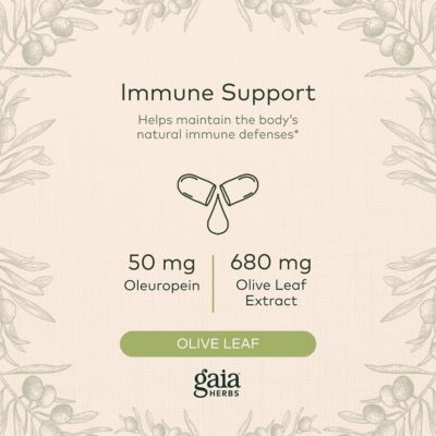 Olive Leaf - Traditional Immune Health Support - Immune System Supplement with Olive Leaf Extract and Oleuropein - 120 Liquid Phyto-Caps